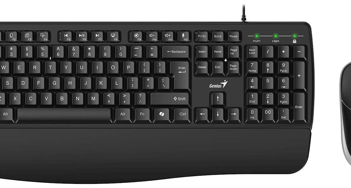 Tipkovnica Genius KM-123,PR,BLK,SER,USB