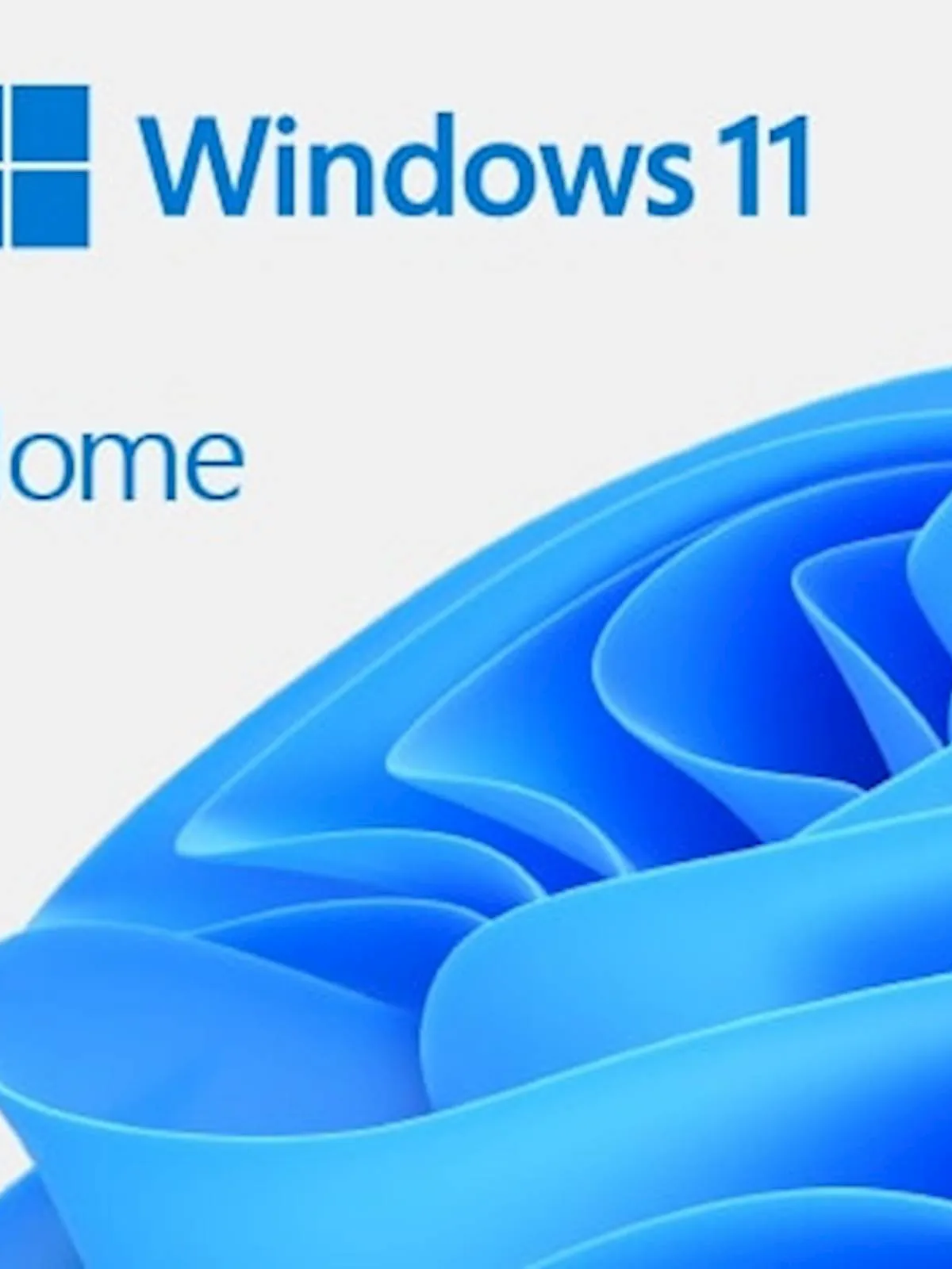 DSP Windows 11 Home 64bit, angleški