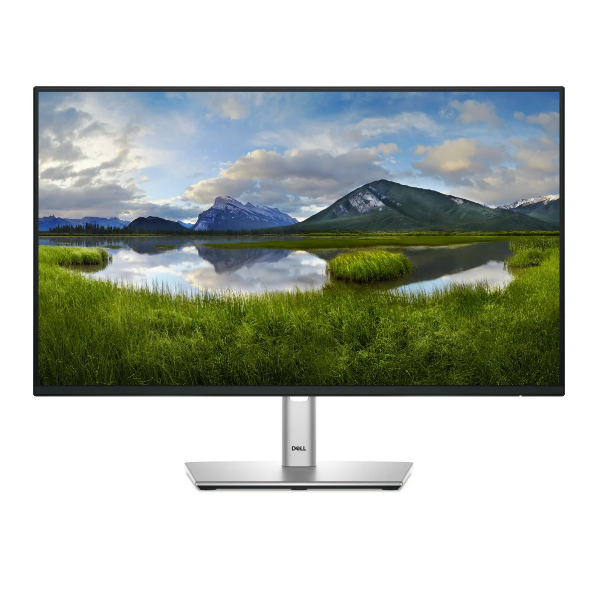 DELL P2425HE 23.8inch 60.5cm USB-C Hub