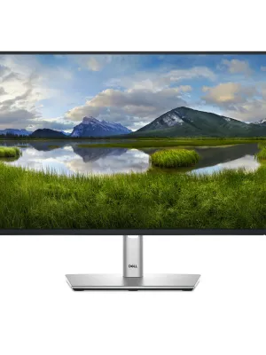 DELL P2425HE 23.8inch 60.5cm USB-C Hub