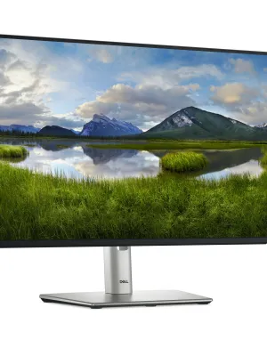 DELL P2425HE 23.8inch 60.5cm USB-C Hub