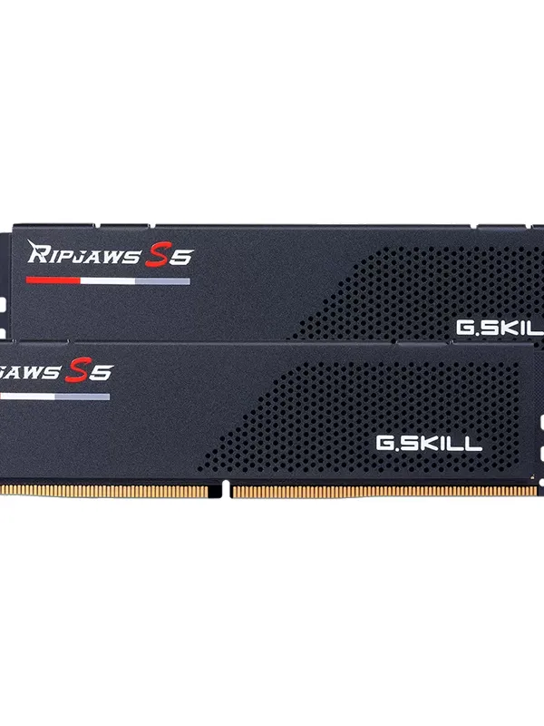 G.SKILL Ripjaws S5 32GB (2x16GB) 6000MT/s DDR5 CL32 F5-6000J3238F16GX2-RS5K ram pomnilnik