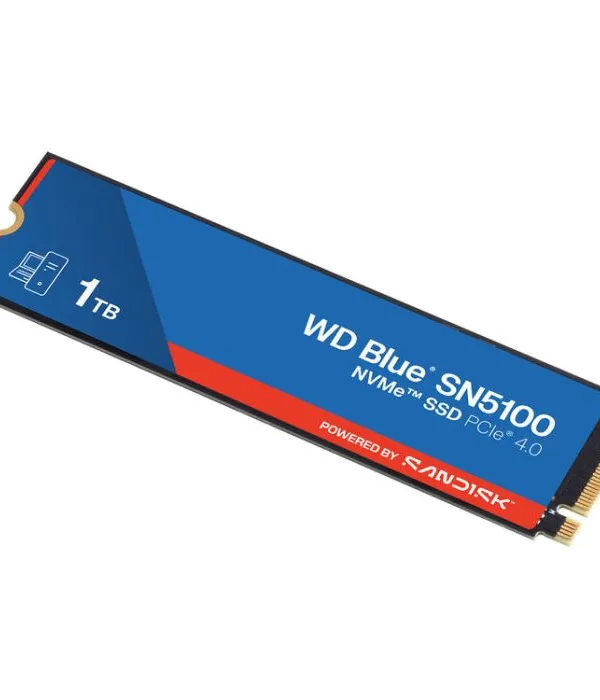 SanDisk 1TB WD Blue SN5100 M.2 2280 PCI-e 4.0 NVMe 1.4c SSD disk